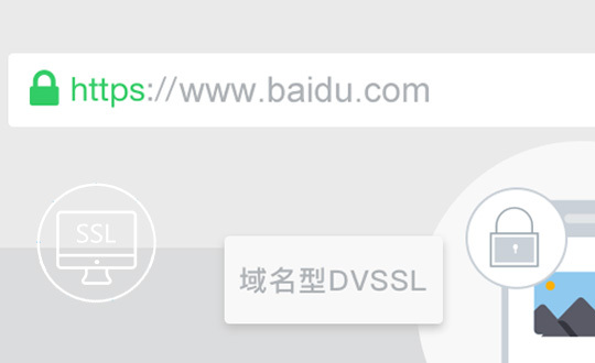 域名型 DV SSL证书